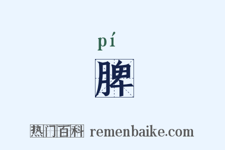 脾是什么意思的图片